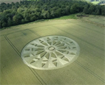 The Mystery of Geometric Puzzles in Fields