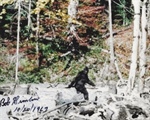 The Legend of Bigfoot (Sasquatch)
