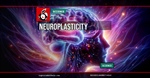 Neuroplasticity