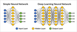 Deep Learning and Neural Networks