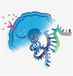 The Marvels of Gene Expression