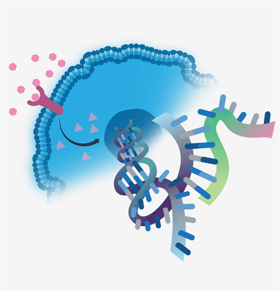 The Marvels of Gene Expression